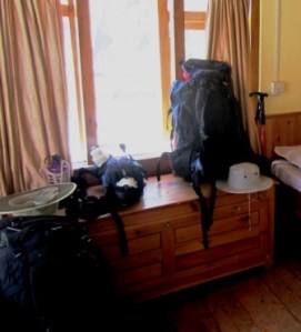 Rented packs and poles, personal hats and waterbottles