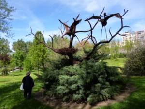 Storks frozen in bronze - Caceras