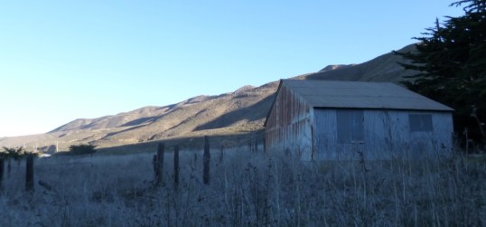 California Hillside Dec 2013