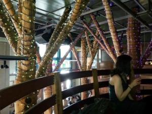 The Grove Restaurant on Mission Street, San Francisco