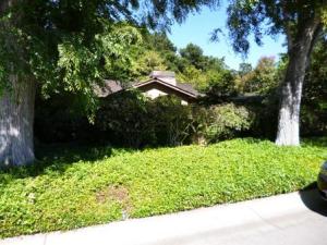 Maybe Sleeping Beauty is in there?