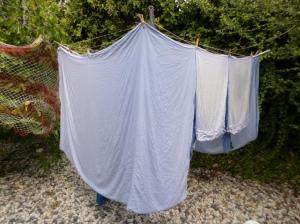 Solar dryer- privacy mode