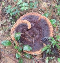 september-2016-382web