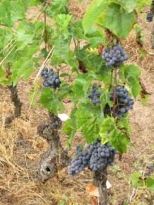 september-2016-383web