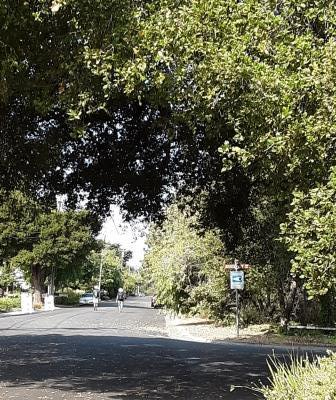 This image has an empty alt attribute; its file name is 20200919_095141web-1-e1600887575283.jpg